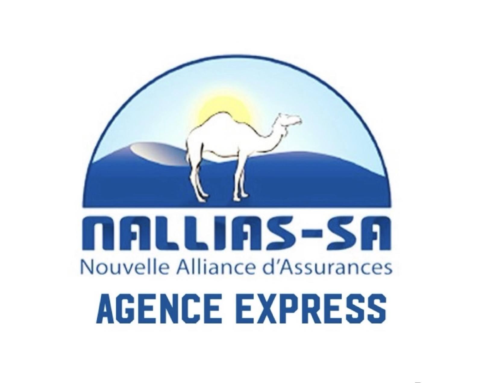 Logo Nallias Agence Express